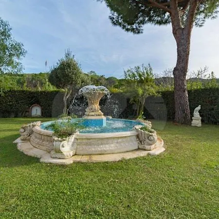 Albero Del Pepe 2 - Goelba * Marina di Campo